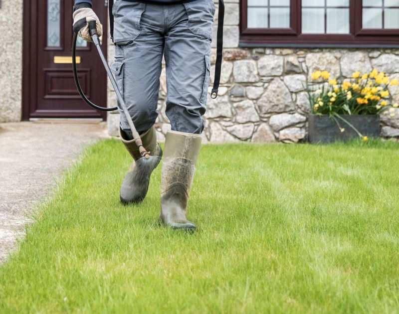 Products For Sanding And Stainings in use